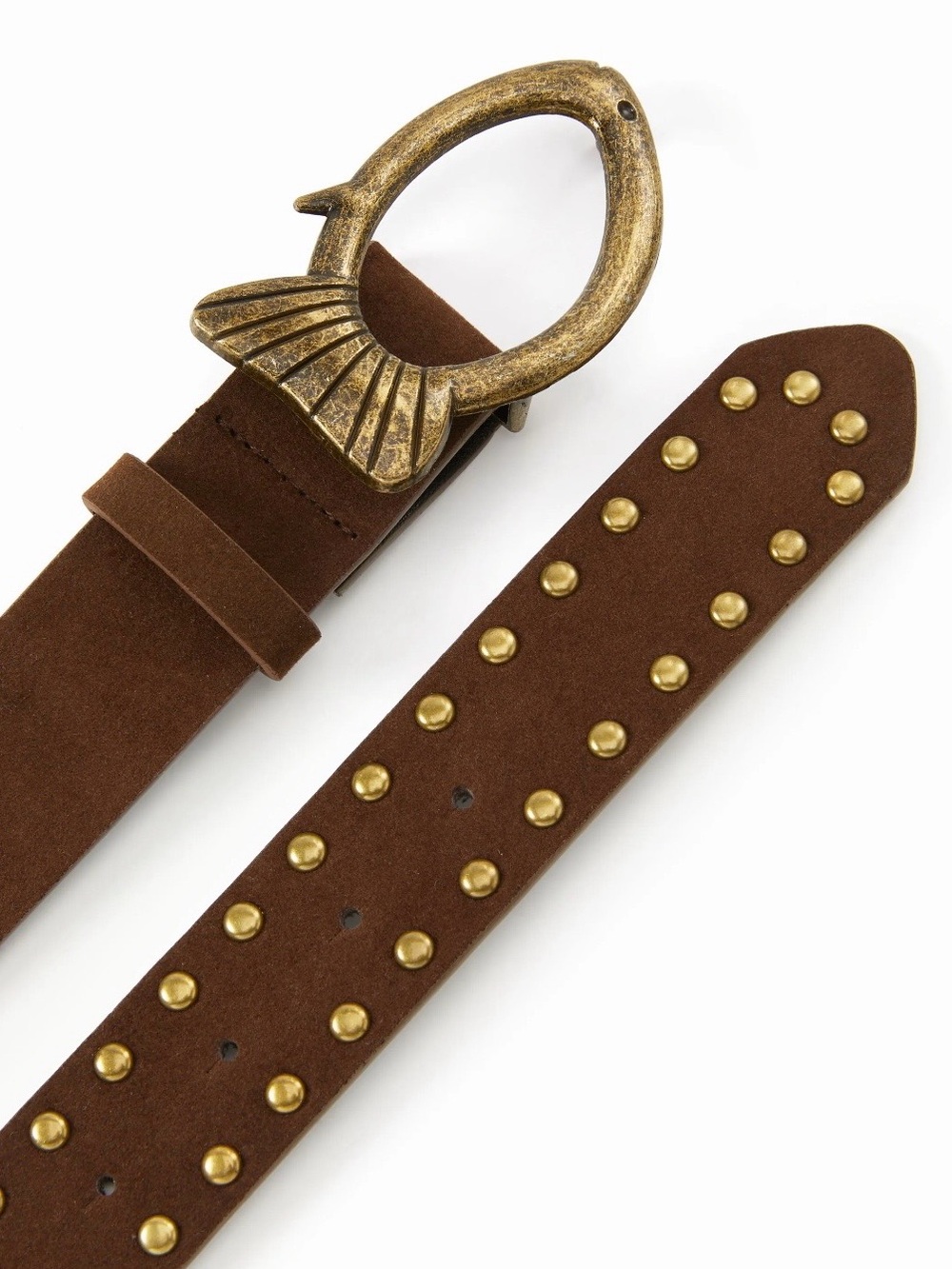 NWT - Cider Studded Fish Belt in Coffee - Picture 3 of 6